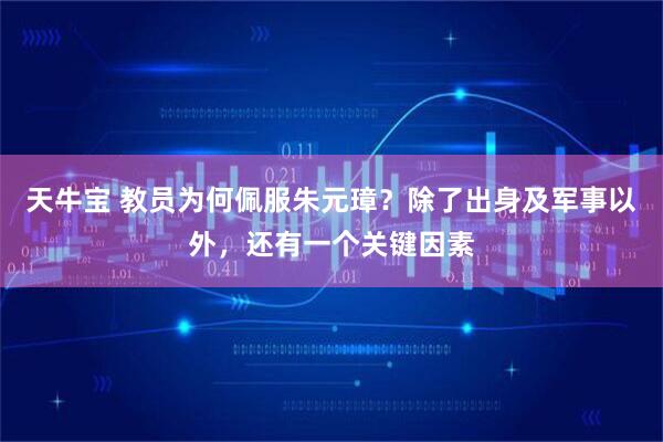 天牛宝 教员为何佩服朱元璋？除了出身及军事以外，还有一个关键因素