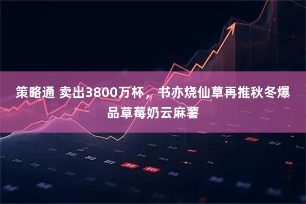 策略通 卖出3800万杯，书亦烧仙草再推秋冬爆品草莓奶云麻薯