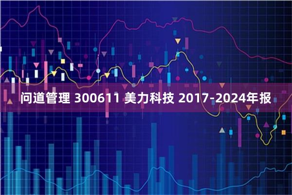 问道管理 300611 美力科技 2017-2024年报