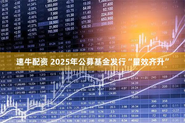 速牛配资 2025年公募基金发行“量效齐升”