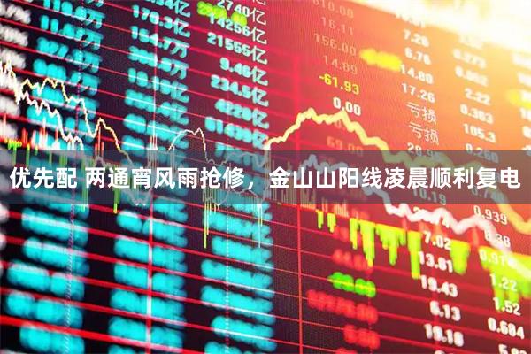 优先配 两通宵风雨抢修，金山山阳线凌晨顺利复电
